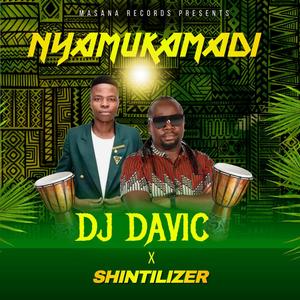 Nyamukamadi (feat. Shintilizer)