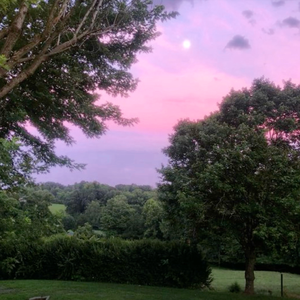 "Collection" - Izaya Tiji Type Beat