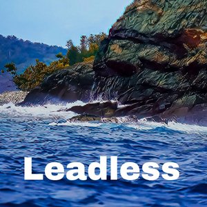 Leadless