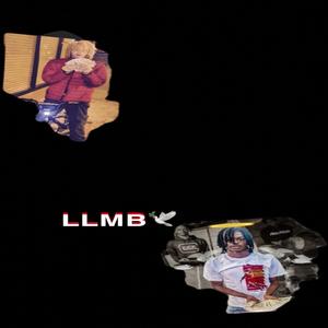 LLMB