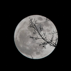 六便士（prod.by lisure）