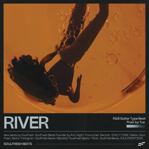 R&B Guitar Type Beat "River"