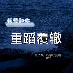 我想和你重蹈覆辙