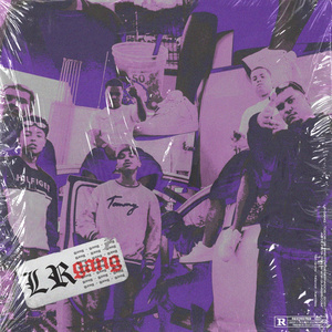 Lr Gang