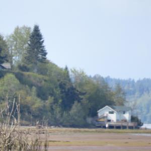 sea glass (feat. blissom)