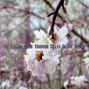 白噪聲希望與睡眠