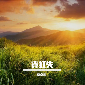 霓虹失