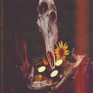 Huntress: Bone Gatherer