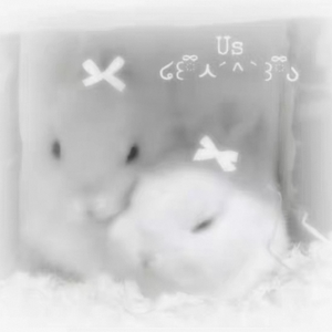 没有地图的冒险