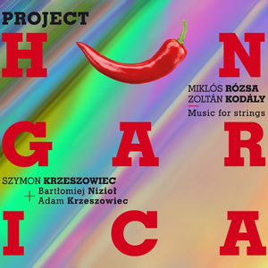 Duo for Violin & Cello, Op. 7: III. Maestoso e largamente, ma non troppo lento - Presto