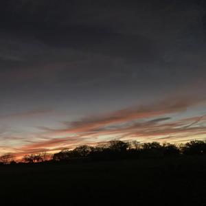 Hatfields and McCoys