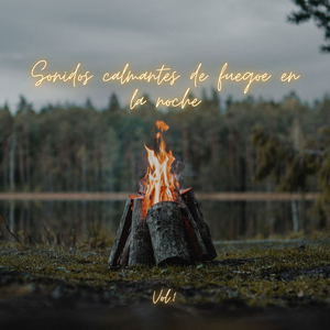 Efectos de sonido de fuego sin filtro para meditación mental