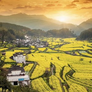 爱是无畏的冒险