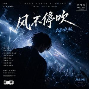 风不停吹(烟嗓版)