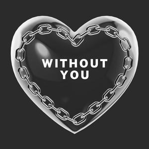 Without You (feat. Doinkboy)
