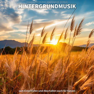 Beruhigende Erkenntnisse