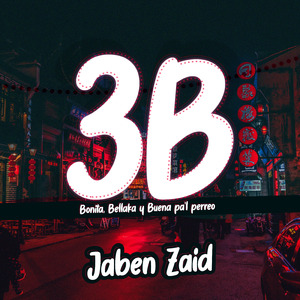 3B