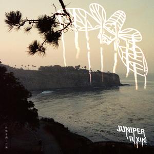 JUNIPER