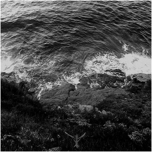 Poisoned Air Through Life