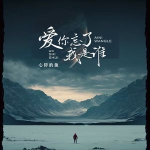 爱你忘了我是谁