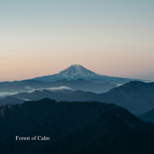 Forest of Calm