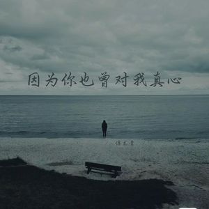 因为你也曾对我真心