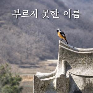 부르지 못한 이름