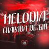 DJ Rick - MELODIA CHAPADA DE GIN (Slowed+Reverb)