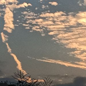 【FREE】"Follow"//lofi type beat