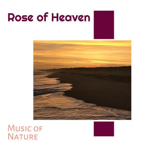 Spring Time Downpour