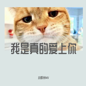 我是真的爱上你
