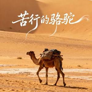 苦行的骆驼  (民谣版) (Cover 全幺九)