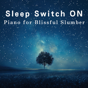 Moonlit Hush Serenade