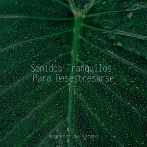 Viaje Trance Galáctico