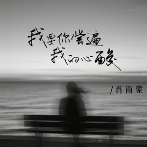 我要你尝遍我的心酸