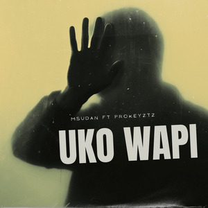 Uko Wapi