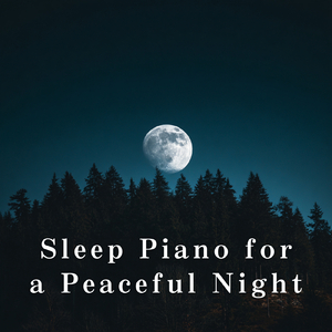 Serenity in Silent Moments