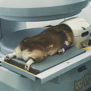 录两句（Prod.Eee.T）