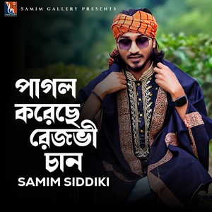 পাগল করেছে রেজভী চান