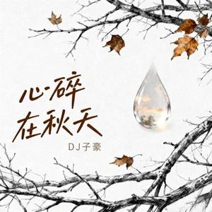 心碎在秋天 (DJ版)