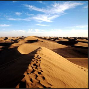 我们的未来.群星mp3