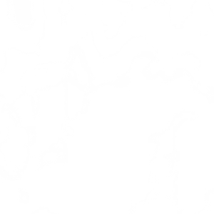 量子纠缠跨越时空的爱.wav