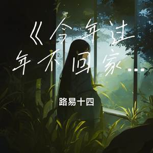 今年过年不回家啦