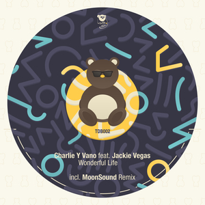 Wonderful (MoonSound Remix)