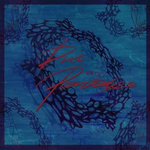 尘粒（dust particle）