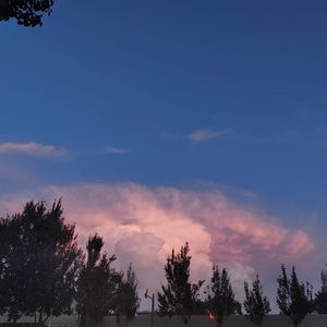 晨光里的小确幸