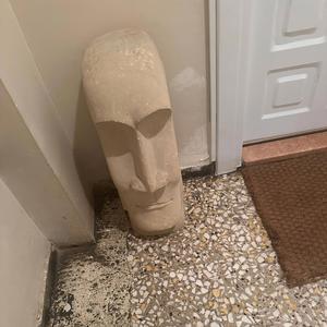 Bu gece müthiş olcak