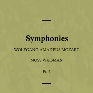 Symphony No. 28 in C Major, K. 200: II. Andante