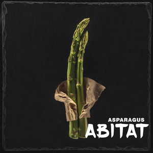 Asparagus (Sped up version)