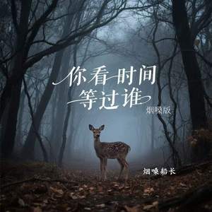 你看时间等过谁 (烟嗓版)